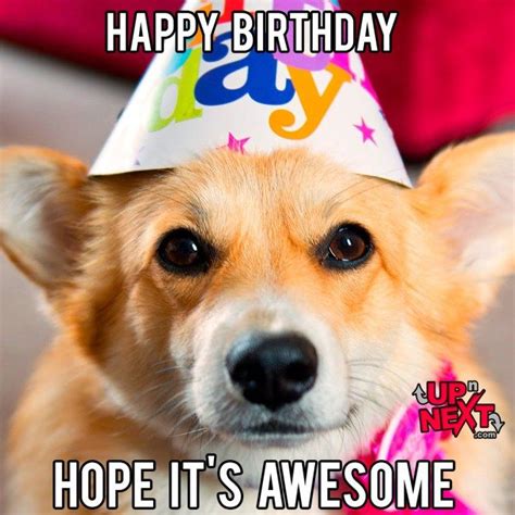 Funny happy birthday celebration memes – Artofit