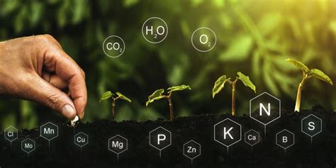 What Is Precision Fertigation: How It Works & Why It's Good for Plants