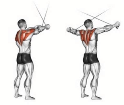 The Cable Rear Delt Fly | How To Maximize This Rear Delt Exercise ...