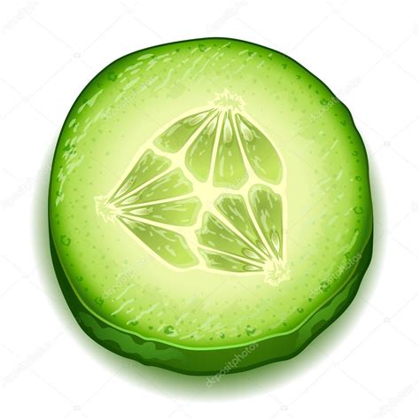 Cucumber Slice Drawing at GetDrawings | Free download