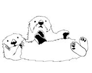 Sea Otter » Coloring Pages » Surfnetkids