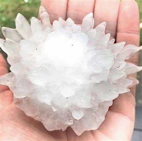 Large hail stone from yesterday : r/sydney