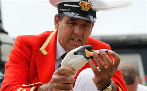 Swan Upping on the River Thames, in pictures