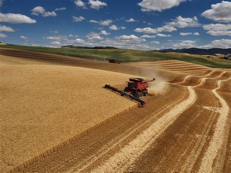 Western Wheat Harvest on Behance