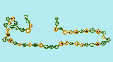 Protein Folding | STEM Resource Finder