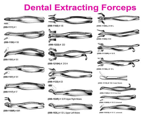 Dental Forceps For Extraction