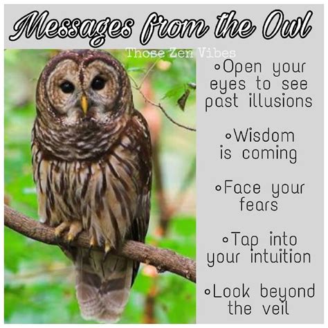 Spirit Animal Owl Meaning ~ Seeing past illusions, wisdom is coming ...