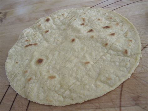 The Robinator's Foodventures: Homemade Corn Tortillas (Soft Taco Shells)