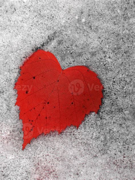 Heart of Winter 784697 Stock Photo at Vecteezy