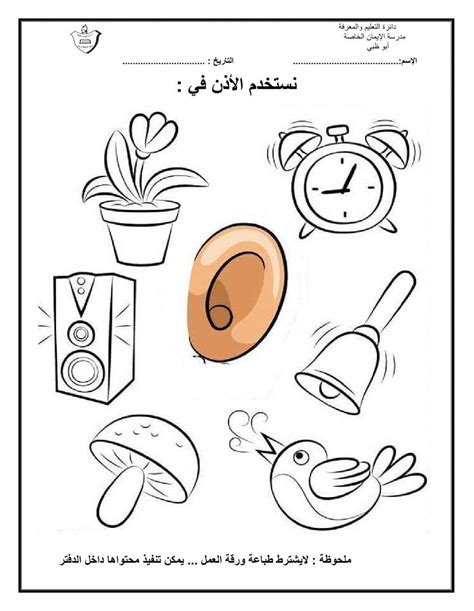 حاسة السمع worksheet | Live Worksheets