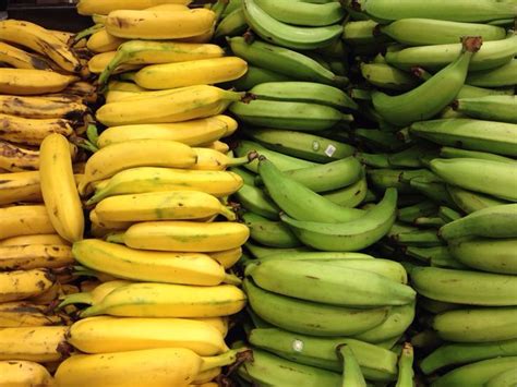 Fruits Of Ecuador: 5 Types Of Banana | Plantains fried, Plantains, Banana