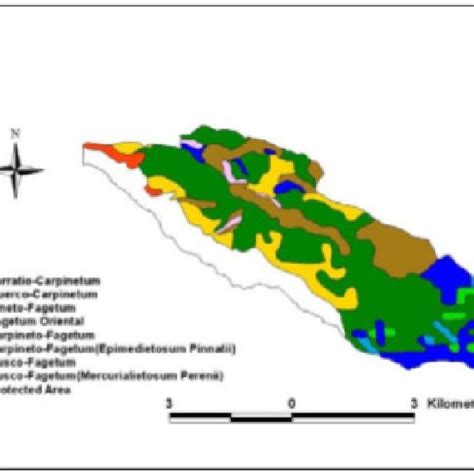 Plants distribution map in case study [2] | Download Scientific Diagram