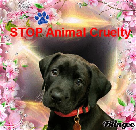 STOP Animal Cruelty Picture #135258467 | Blingee.com
