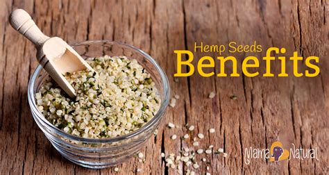 Hemp Seeds Benefits and How to Use 'em