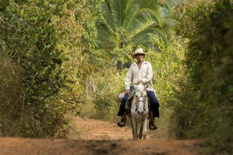 Cuba: Preserving Nature's Wonders - Volunteer Vacations | Discover Corps