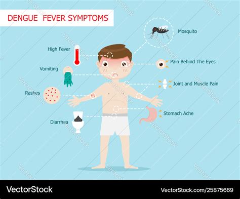 Dengue Hemorrhagic Fever Symptoms