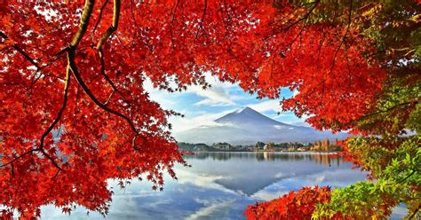 The 24th Fuji-kawaguchiko Autumn Leaves Festival in 2022 (October… – Get Around Japan