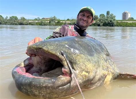 Lucky Angler Catches Huge 9-Foot Catfish, Nearly Loses Boat In The Process