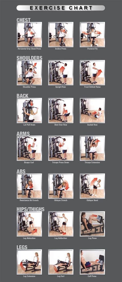 Weider 8530 Home Gym Exercises