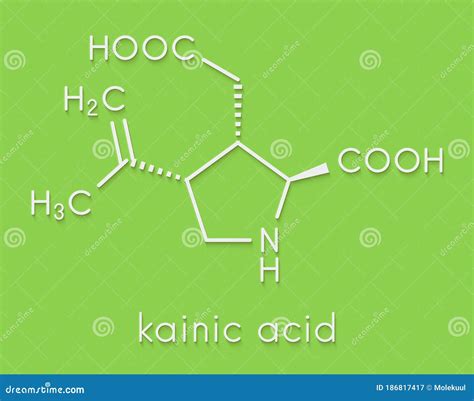 Kainic Acid Molecule. Direct Agonist of the Glutamic Kainate Receptors. Skeletal Formula. Stock ...