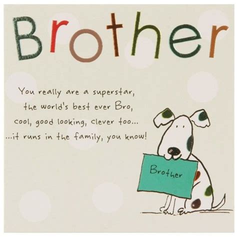 307+ Memorable Brother Quotes to Show Your Appreciation - BayArt