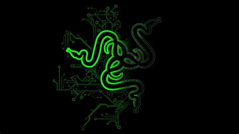 HD wallpaper: black and green Razer gaming mouse, Razer Inc., logo, green color | Wallpaper Flare