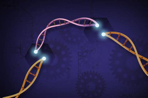 基因编辑技术新突破！科学家可以一次编辑多个基因组片段|基因编辑|基因组_新浪新闻