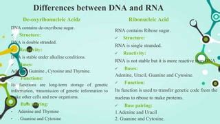 Nucleic Acids Biochemistry (DNA & RNA) | PPT