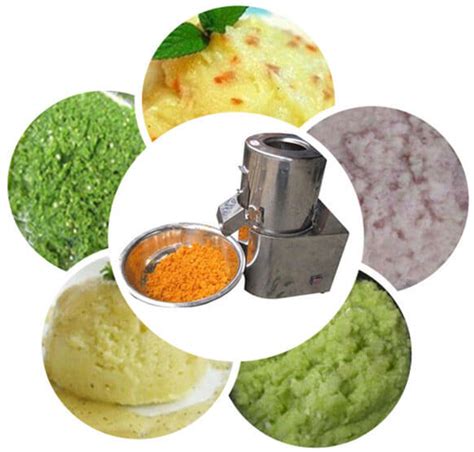 Vegetable Grinder Machine, Fruit Grinder Machine for Puree and Pulp