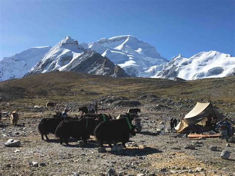 Cho Oyu Base Camp Trek - Project Base8000