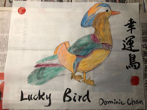 Lucky bird