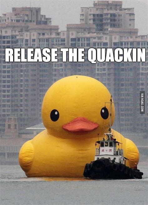 http://9gag.com/gag/ay0AM5p?ref=mobile | Funny pictures, Rubber duck ...