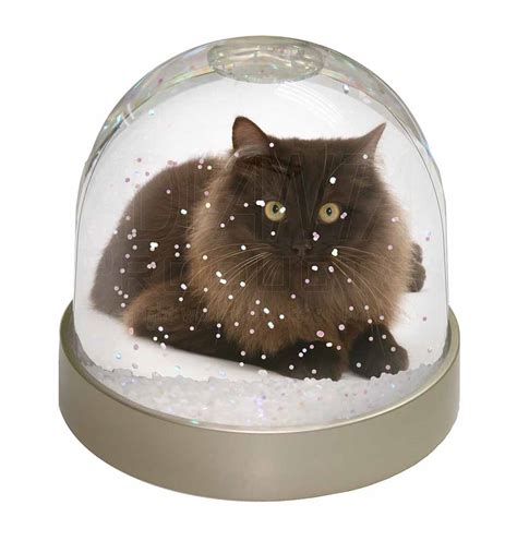 Promotional Chocolate Black Cat Snow Globe Photo Waterball ID:23628