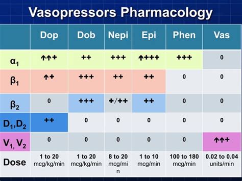 Vasopressors Presentation_final