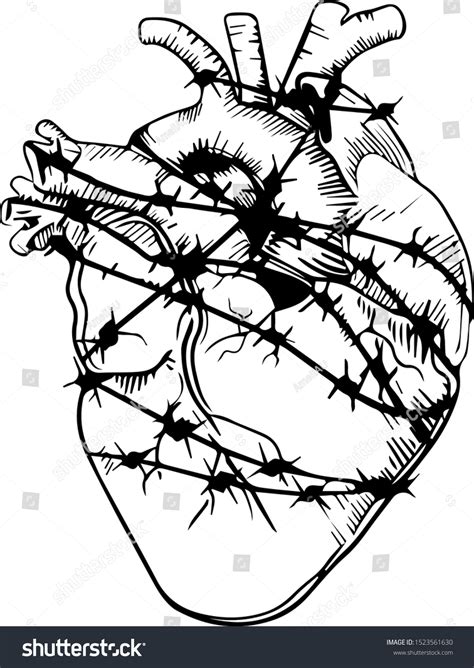 Vector Heart Barbed Wire Drawing Tattoo Stock Vector (Royalty Free) 1523561630 | Shutterstock