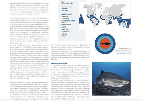 Requin Tigre – Shark Education