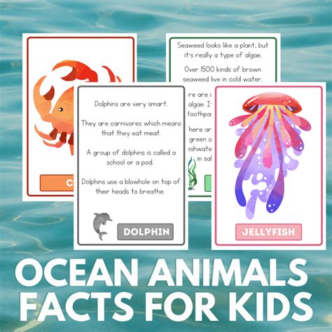 Ocean Animals Facts for Kids: Dive in & Learn