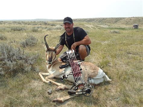 PNG1 Wyoming Pronghorn