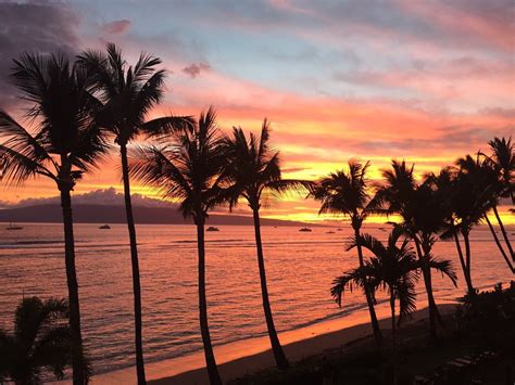 Lahaina Shores Beach Resort - 196 Photos & 139 Reviews - Hotels - 475 ...