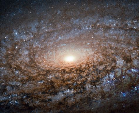 Hubble Views "Woolly" Galaxy NGC 3521