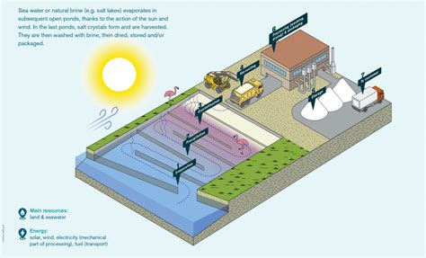 Harvesting salt by solar evaporation