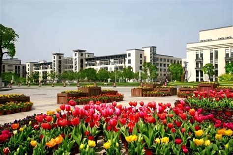 Jiangnan University - Study in China - Apply online for Scholarship