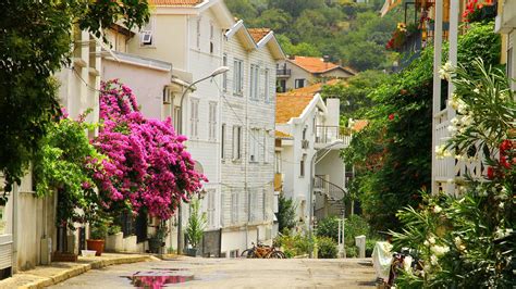 Büyükada İstanbul GoTürkiye