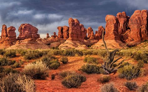 National Park Arches Moab Utah United States Garden From Eden Landscape ...