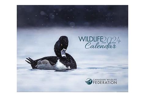 Free 2024 Wildlife Calendar - Free Canada Samples | Freebies, Free Samples & Free Stuff