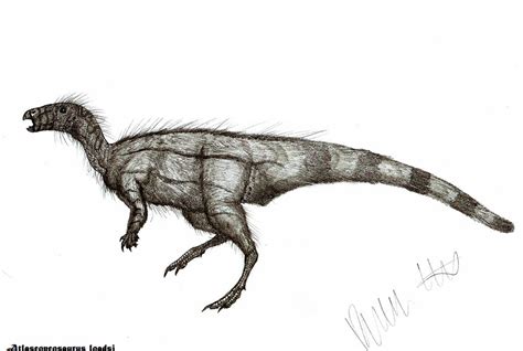 Atlascopcosaurus loadsi by Teratophoneus on DeviantArt