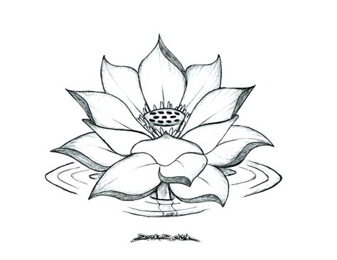 Lotus Coloring Pages at GetDrawings | Free download