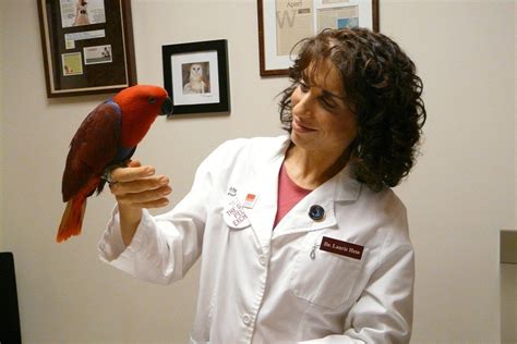 Exotic Animal Veterinarian Laurie Hess Discusses Her New Book 'Unlikely Companions' - Veterinary ...