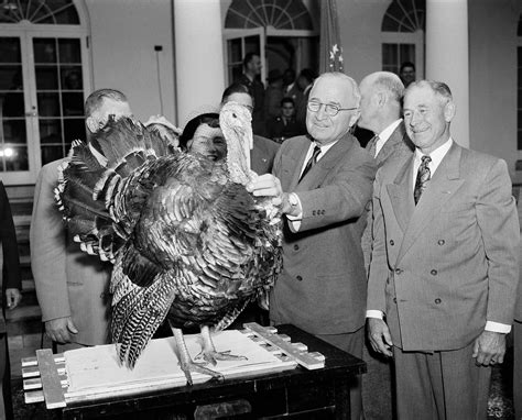 What you didn't know about 'pardoned' White House turkeys