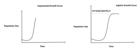 Population growth curve in most animals, except humans is:A. S-shapedB ...